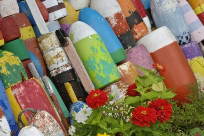 Framed Print : Colorful buoys on wall, Rockport, Massachusetts, Cape Ann Framed Print : Colorful buoys on wall, Rockport, Massachusetts, Cape Ann