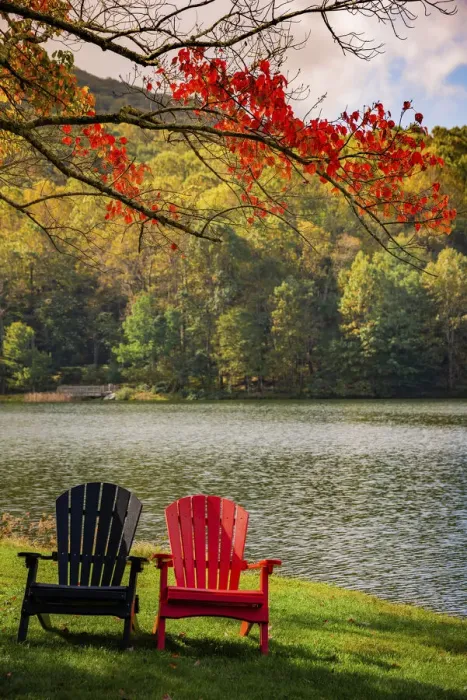 Framed Print : Colorful chairs on the banks of the lake, Peaks Of Otter, Blue Ridge Parkway, Smoky Mountains, USA Framed Print : Colorful chairs on the banks of the lake, Peaks Of Otter, Blue Ridge Parkway, Smoky Mountains, USA