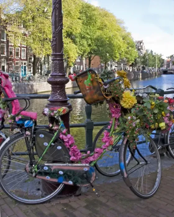 Framed Print : Colorful decorated bicycle with pink flowers and a pink passenger seat parked