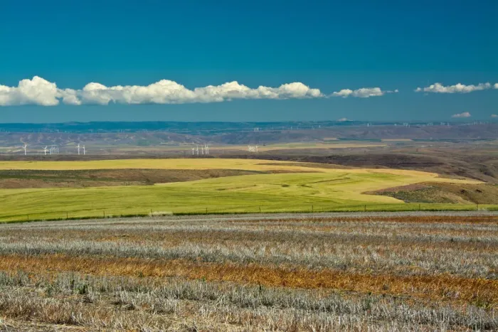 Framed Print : Colorful fields and wind turbines, Gilliam County, Oregon, USA Framed Print : Colorful fields and wind turbines, Gilliam County, Oregon, USA