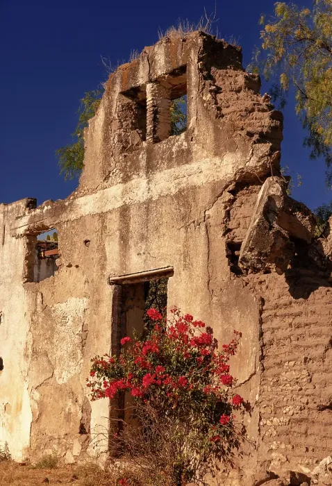 Framed Print : Colorful flowers in front of ruin of old fortress. San Miguel de Allende, Mexico Framed Print : Colorful flowers in front of ruin of old fortress. San Miguel de Allende, Mexico