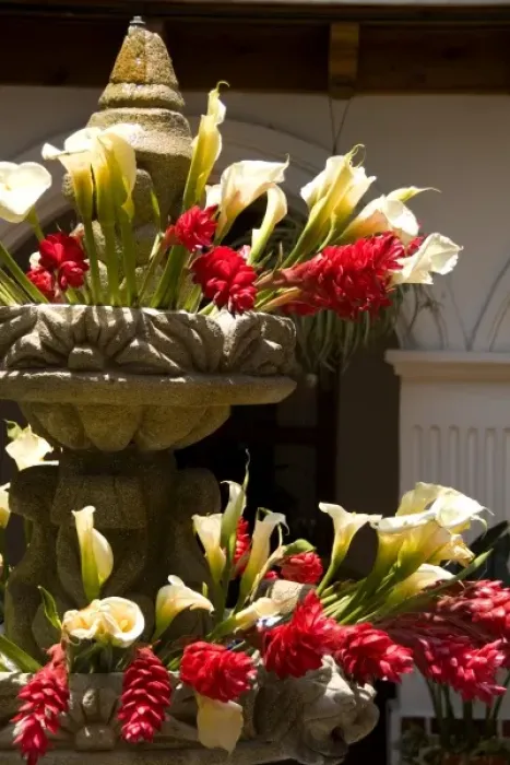 Framed Print : A colorful fountain in the courtyard with flowers located in front of Hotel Colonial