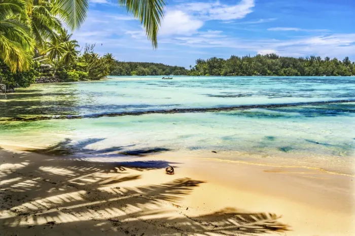 Framed Print : Colorful Hauru Point beach palm trees, Moorea, Tahiti, French Polynesia Framed Print : Colorful Hauru Point beach palm trees, Moorea, Tahiti, French Polynesia