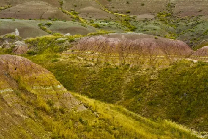 Framed Print : colorful hills; early autumn; Badlands Loop Road; Badlands National Park; South Dakota Framed Print : colorful hills; early autumn; Badlands Loop Road; Badlands National Park; South Dakota