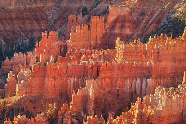 Colorful hoodoos glowing in morning light, seen from Sunrise Point, Bryce Canyon National Park, Utah