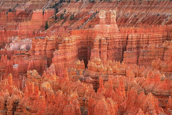 Colorful hoodoos seen from Sunrise Point, Bryce Canyon National Park, Utah