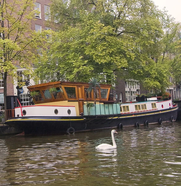 A colorful houseboat with a white swan swimming near