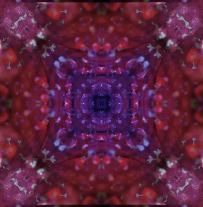 Framed Print : Colorful kaleidoscope Framed Print : Colorful kaleidoscope