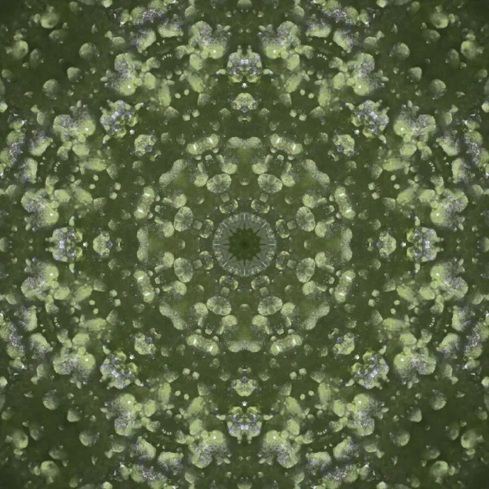 Framed Print : Colorful kaleidoscope Framed Print : Colorful kaleidoscope