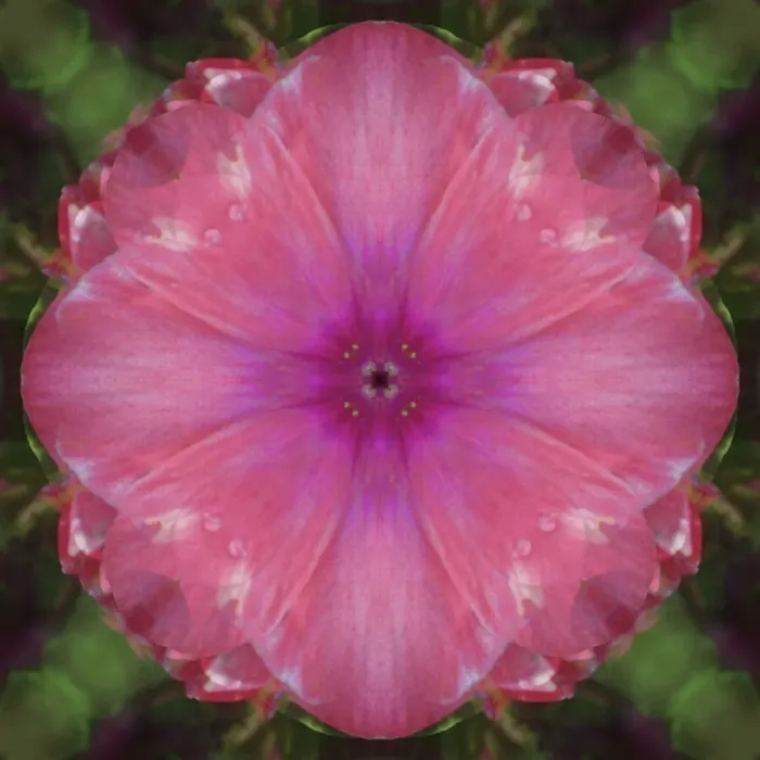 Framed Print : Colorful kaleidoscope