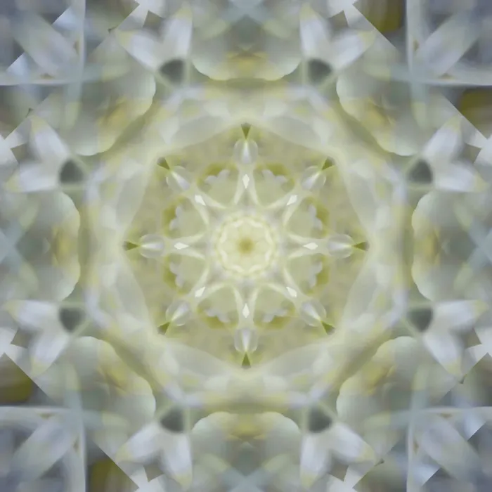 Framed Print : Colorful kaleidoscope Framed Print : Colorful kaleidoscope