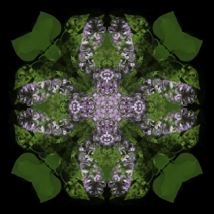 Framed Print : Colorful kaleidoscope Framed Print : Colorful kaleidoscope