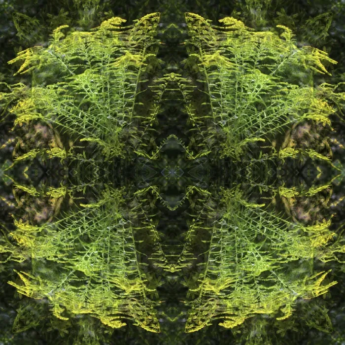 Framed Print : Colorful kaleidoscope Framed Print : Colorful kaleidoscope