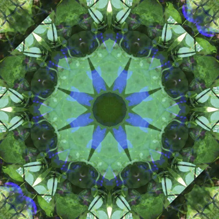 Framed Print : Colorful kaleidoscope Framed Print : Colorful kaleidoscope