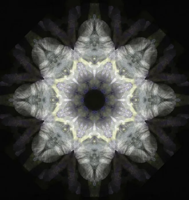 Framed Print : Colorful kaleidoscope