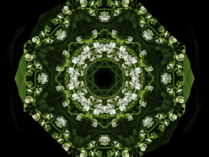 Framed Print : Colorful kaleidoscope Framed Print : Colorful kaleidoscope