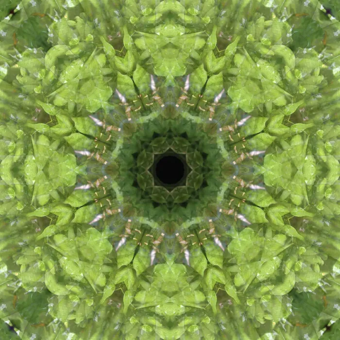 Framed Print : Colorful kaleidoscope Framed Print : Colorful kaleidoscope