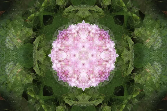 Framed Print : Colorful kaleidoscope