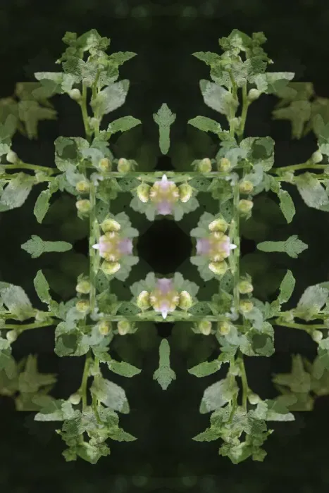 Framed Print : Colorful kaleidoscope Framed Print : Colorful kaleidoscope