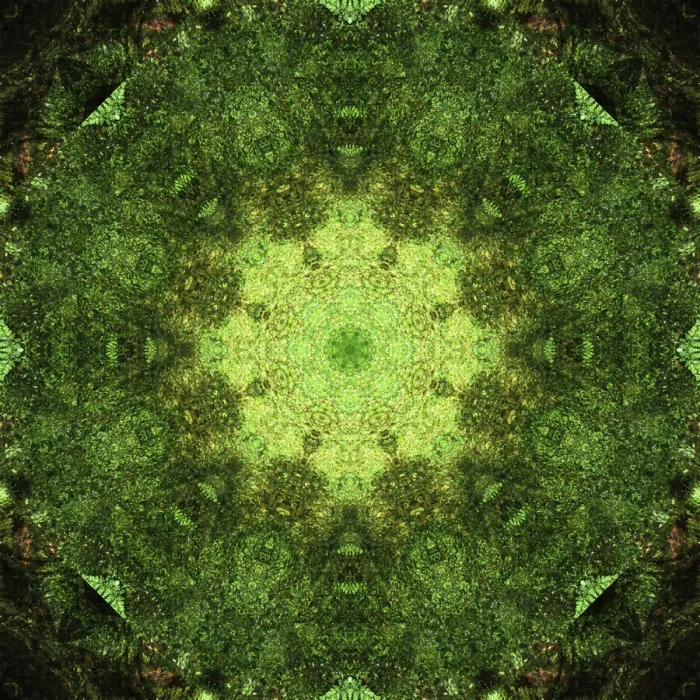 Framed Print : Colorful kaleidoscope Framed Print : Colorful kaleidoscope