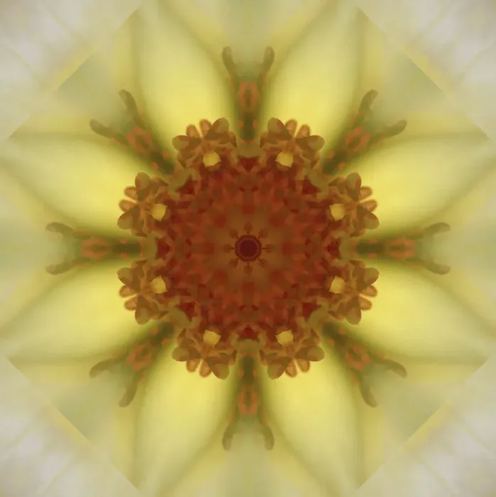 Framed Print : Colorful kaleidoscope Framed Print : Colorful kaleidoscope