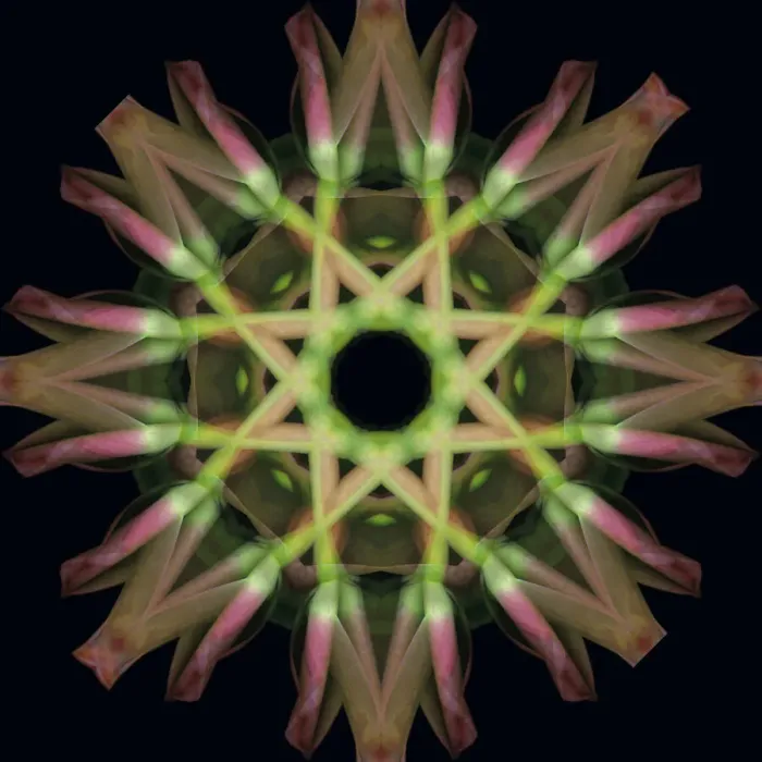 Framed Print : Colorful kaleidoscope Framed Print : Colorful kaleidoscope