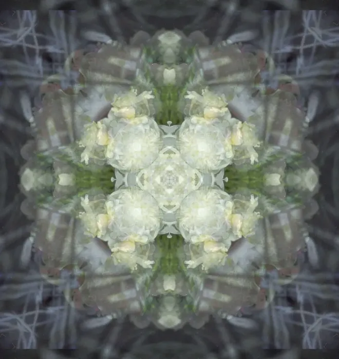 Framed Print : Colorful kaleidoscope Framed Print : Colorful kaleidoscope