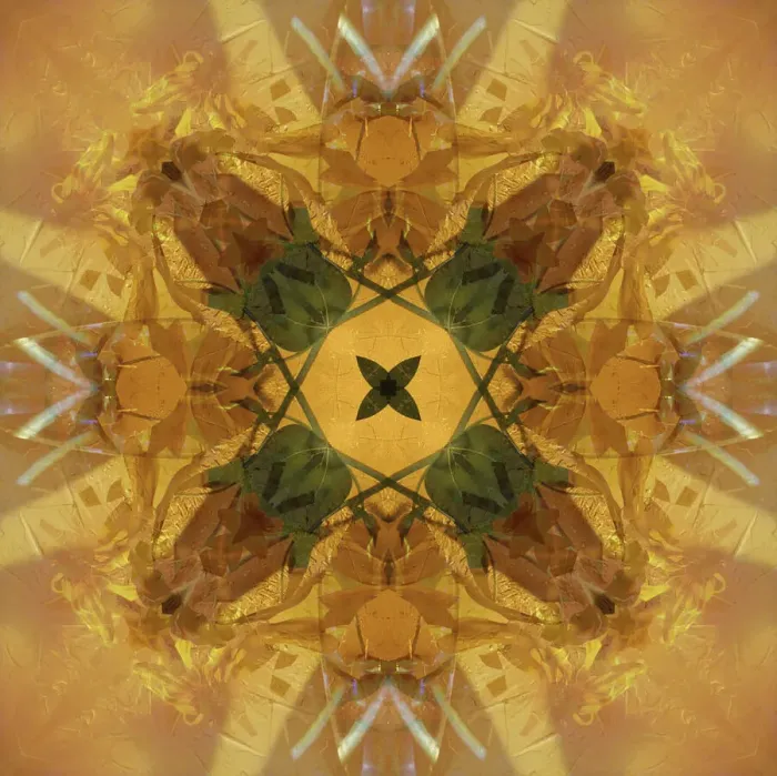 Framed Print : Colorful kaleidoscope Framed Print : Colorful kaleidoscope