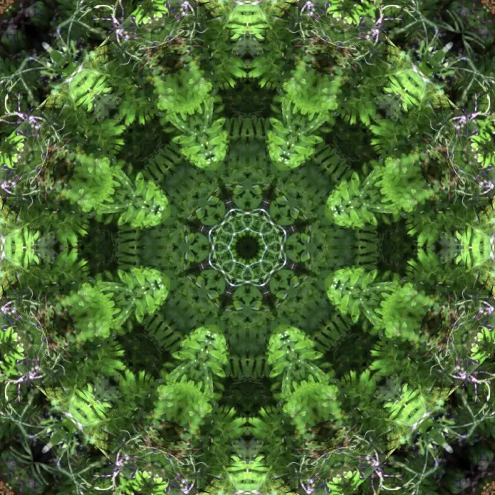 Framed Print : Colorful kaleidoscope