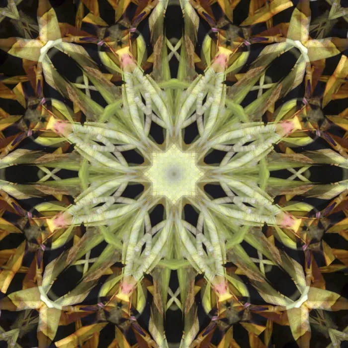 Framed Print : Colorful kaleidoscope
