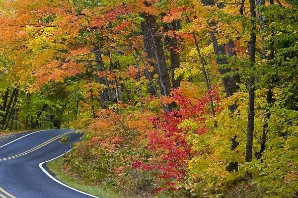Colorful maple trees in autumn line scenic Highway 41 as it leads into Copper Harbor