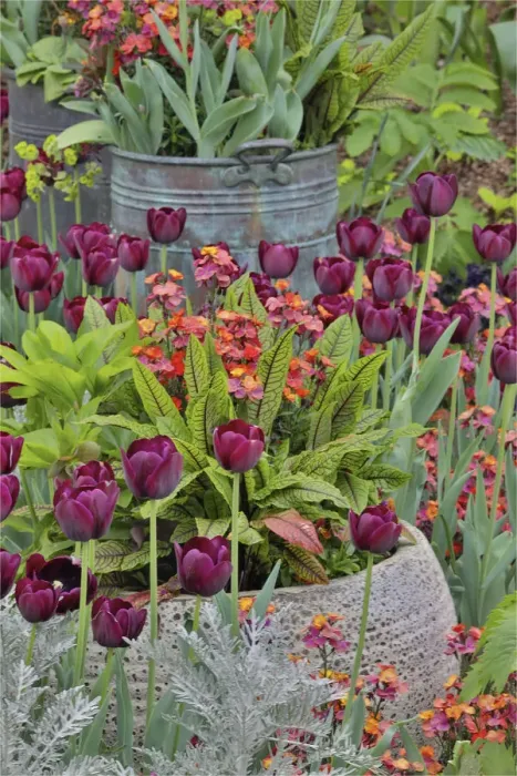 Framed Print : Colorful planters at entrance to Chanticleer Garden, Wayne, Pennsylvania Framed Print : Colorful planters at entrance to Chanticleer Garden, Wayne, Pennsylvania