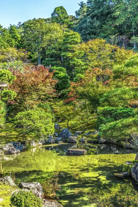 Framed Print : Colorful reflection Ginkaku-ji Temple, Kyoto, Japan. Also known as Jisho-ji and Temple of Shining Mercy. Built in 1460 by Ashikaga Yoshimasa Framed Print : Colorful reflection Ginkaku-ji Temple, Kyoto, Japan. Also known as Jisho-ji and Temple of Shining Mercy. Built in 1460 by Ashikaga Yoshimasa