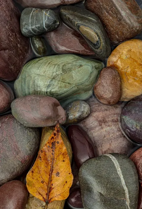 Framed Print : Colorful river rocks along the Middle Fork of the Flathead River in Glacier National Park Framed Print : Colorful river rocks along the Middle Fork of the Flathead River in Glacier National Park