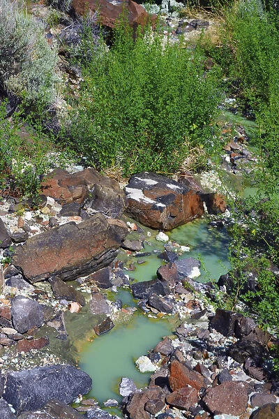 Colorful rocks, chalky blue-green pool, Blue Basin, Blue Basin Area, Oregon, USA
