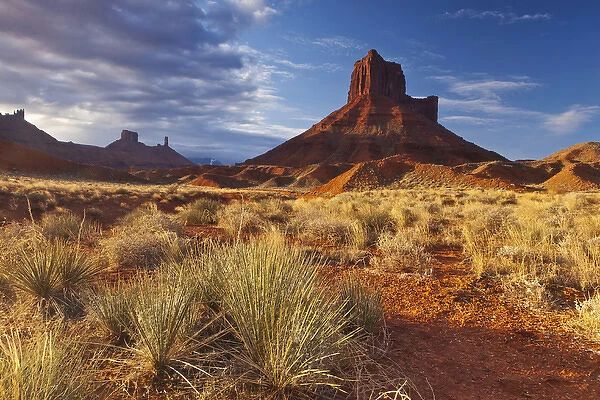 Colorful rocks and grasses in early morning light by Parrott Mesa near Moab, Utah, USA