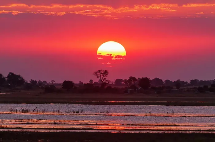 Framed Print : A colorful sunset along the banks of the Chobe River, Chobe National Park, Kasane, Botswana Framed Print : A colorful sunset along the banks of the Chobe River, Chobe National Park, Kasane, Botswana