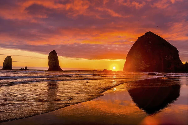 Colorful sunset, birds, Haystack Rock sea stacks, Canon Beach, Clatsop County, Oregon