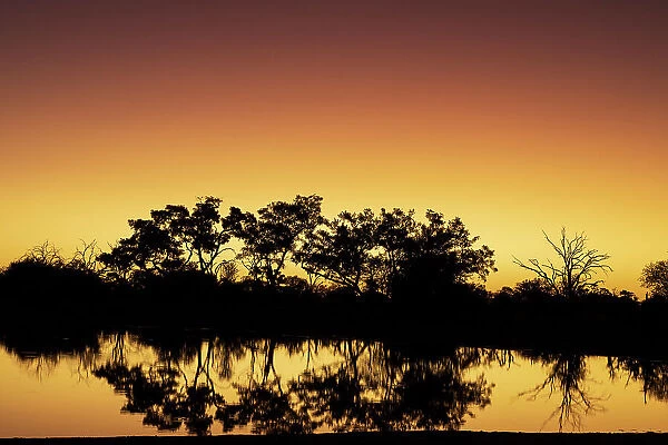 Colorful sunset at watering hole. Camelthorn Lodge. Hwange National Park. Zimbabwe