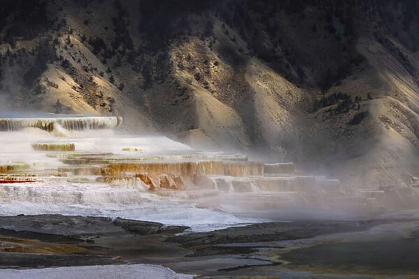 Colorful terrace, Canary Spring, Mammoth Hot Springs, Yellowstone National Park, Wyoming