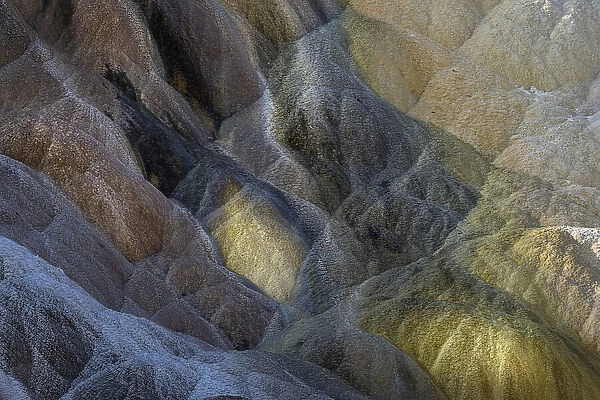 Colorful travertine slope with yellow and brown cyanobacteria, Mammoth Hot Springs, Yellowstone National Park, Wyoming