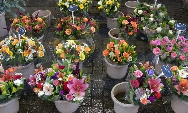 A colorful variety of cut flowers at the Bloemenmarket