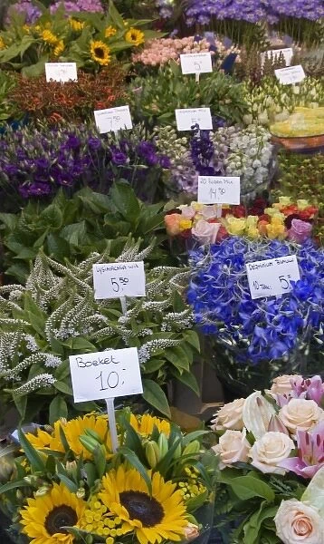 A colorful variety of flowers at the Bloemenmarket