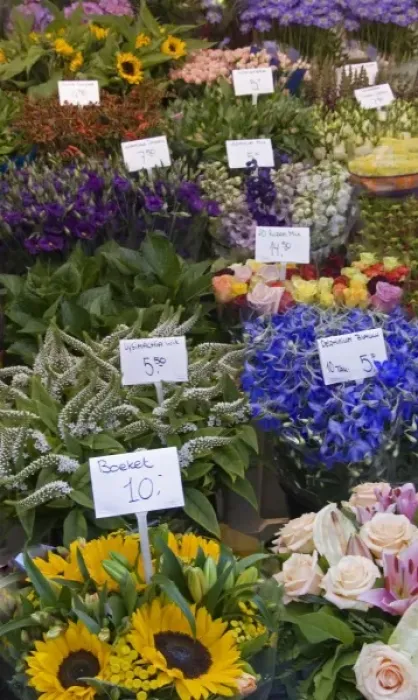 Framed Print : A colorful variety of flowers at the Bloemenmarket