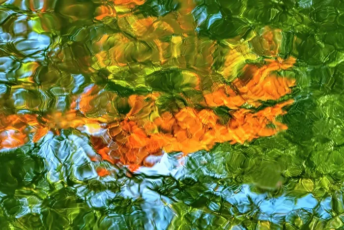 Framed Print : Colorful water reflection, Furuichi Kofungun, water surrounding ancient burial mound, Habikino, Osaka, Japan Framed Print : Colorful water reflection, Furuichi Kofungun, water surrounding ancient burial mound, Habikino, Osaka, Japan