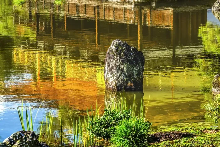 Framed Print : Colorful water reflection, Kinkaku-Ji (Rokuon-Ji) golden pavilion, Kyoto, Japan. Dates to 1397