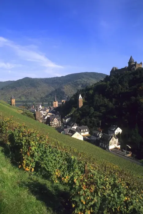 Framed Print : Colorful Wine Vineyards On the Beautiful Rhine River Bacharach Germany Framed Print : Colorful Wine Vineyards On the Beautiful Rhine River Bacharach Germany
