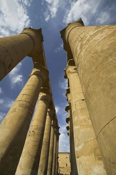 Column with Visual Art carved into them Luxor Temple, Luxor along the Nile River Egypt