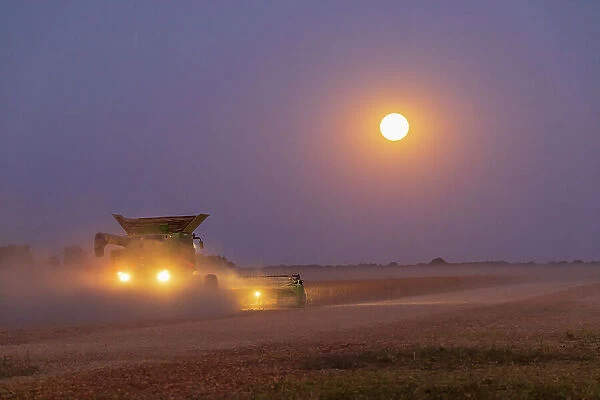 Combine harvesting soybeans as full moon rises (harvest moon), Marion County, Illinois. (Editorial Use Only)