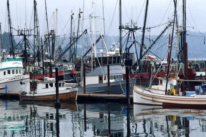Framed Print : Commercial fishing boats docked at Newport on the Oregon Coast. commercial Framed Print : Commercial fishing boats docked at Newport on the Oregon Coast. commercial